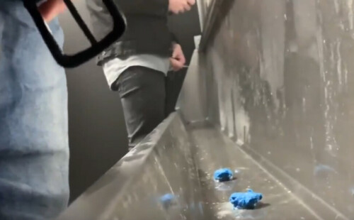 Uncut guys caught pissing at urinals