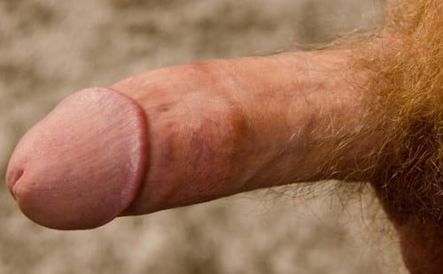 Kenny Shows off His Cock