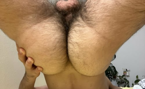 Hairy eggs