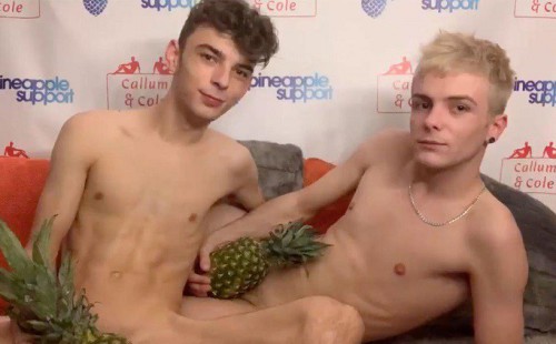 Callum & Cole Launch 'Donate A Stream' For Pineapple Support