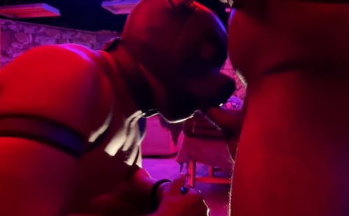 Private Playground XXX releases BLUE PUP GANGBANG