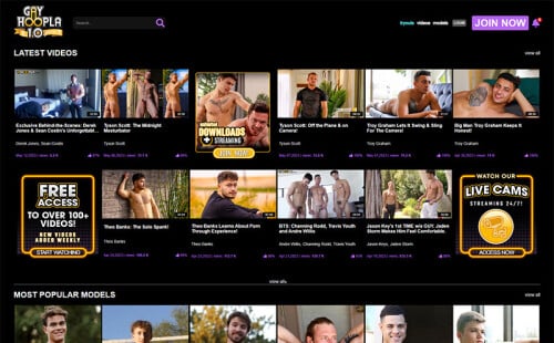 Site Review: Gay Hoopla