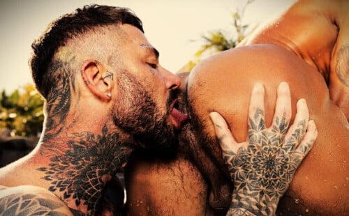 Hairy rimmers