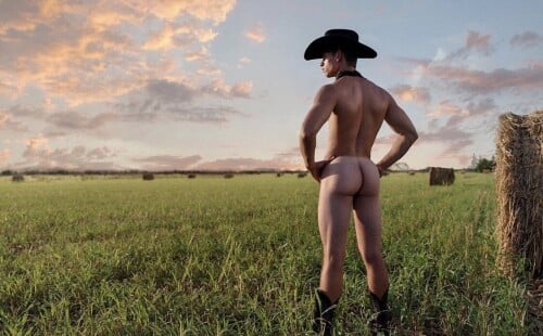 Nude cowboys