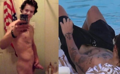 Harry styles dick